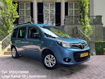 Renault Kangoo Family 1.2 TCe Limited Navi Climate Cruise Ct beschikbaar voor biedingen