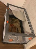 Ferplast Criceti 100 kooi, Dieren en Toebehoren, Knaagdieren en Konijnen | Hokken en Kooien, Minder dan 60 cm, Kooi, Ophalen of Verzenden