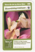 Super dieren no.28 Bloembidsprinkhaan [2690]  [VeOvSu], Albert Heijn, Ophalen of Verzenden