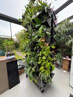 Plantenmuur verrijdbaar, Ophalen, Overige soorten, 200 cm of meer