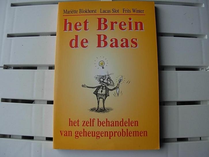 Het Brein de Baas, Boeken, Advies, Hulp en Training, Zo goed als nieuw, Ophalen of Verzenden