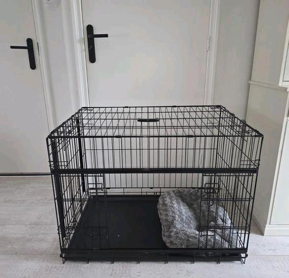 Honden bench, Dieren en Toebehoren, Hondenhokken, Zo goed als nieuw, Minder dan 65 cm, Ophalen