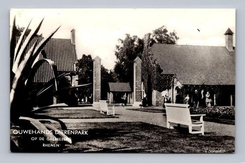 Ansichtkaart Ouwehands Dierenpark op de Grebbeberg rhenen, Verzamelen, Ansichtkaarten | Nederland, Gelopen, Utrecht, 1940 tot 1960