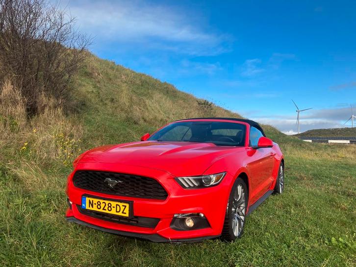 Ford Mustang 2.3 Ecoboost Convertible 2016 Rood, Auto's, Ford, Particulier, Mustang, Benzine, E, Cabriolet, Handgeschakeld, Geïmporteerd