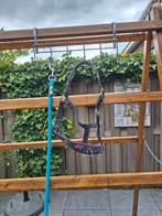 Verschillende paardenspullen, Dieren en Toebehoren, Ophalen of Verzenden, Overige soorten