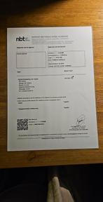 te koop grijze roodstaart, Mannelijk, Papegaai, Pratend