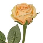 TOPART - ROOSJE ORANJE - ZALM ROZE - ZACHT ROZE, Ophalen of Verzenden, Nieuw