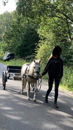Sulky voor grote Shet/kleine A pony, Dieren en Toebehoren, Rijtuigen en Koetsen, Gebruikt, Sulky, Pony