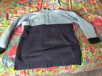 Warme Wintertrui met Voering, Ophalen of Verzenden, Zo goed als nieuw, Maat 42/44 (L), Blauw