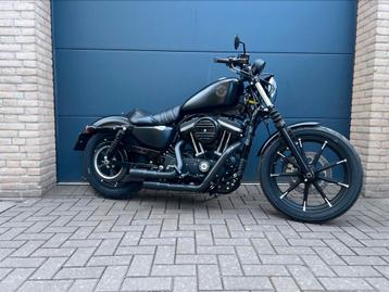 Harley-Davidson 883 2019 (Model 2020) – Origineel Nederlands beschikbaar voor biedingen