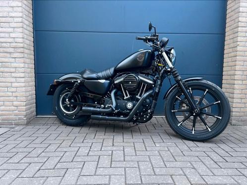 Harley-Davidson 883 2019 (Model 2020) – Origineel Nederlands, Motoren, Motoren | Harley-Davidson, Bedrijf, Chopper, 2 cilinders