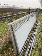 Hokafscheiding vleesvarkens, Mannelijk, Varken