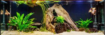 Aquatlantis EASYLED 2.0 beschikbaar voor biedingen