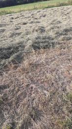 hooi, Dieren en Toebehoren, Dierenvoeding, Ophalen, Vee
