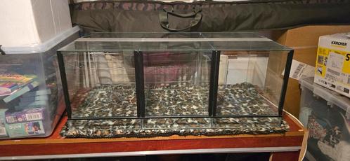 Terrarium straat - 3 terrariums in 1, Dieren en Toebehoren, Reptielen en Amfibieën | Toebehoren, Zo goed als nieuw, Terrarium of Paludarium