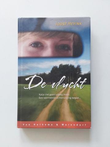 Joost Heyink : De Vlucht beschikbaar voor biedingen