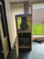 Zeeaquarium, Dieren en Toebehoren, Vissen | Aquaria en Toebehoren, Ophalen, Leeg aquarium