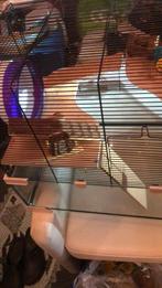 Groote Hamster Kooi, Kooi, Minder dan 75 cm, Hamster, Ophalen