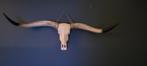 stierenschedel, longhorn, boho wanddecoratie 167 x 42 cm, Huis en Inrichting, Woonaccessoires | Wanddecoraties, Ophalen, Gebruikt