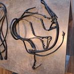 Stang en trens hoofdstel full zwart, Dieren en Toebehoren, Paarden en Pony's | Hoofdstellen en Tuigage, Ophalen of Verzenden, Zo goed als nieuw