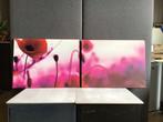 Fotocanvas klaproos 60x80, Ophalen of Verzenden, Zo goed als nieuw, 50 tot 75 cm