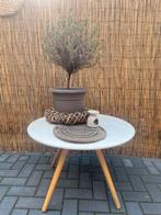Ronde tafel salontafel bijzettafel, Huis en Inrichting, Tafels | Salontafels, Gebruikt, 50 tot 100 cm, 50 tot 75 cm, Rond