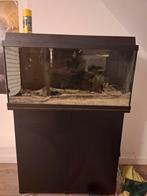 Juwel Primo 110 LED aquarium met onderkast., Dieren en Toebehoren, Vissen | Aquaria en Toebehoren, Ophalen, Zo goed als nieuw