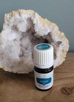 Marjoram Young Living, Sport en Fitness, Gezondheidsproducten en Wellness, Ophalen of Verzenden, Nieuw, Aroma