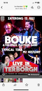 Te koop tickets TerBorghLive met Bouke & de ElvisMattersBand, Tickets en Kaartjes, Evenementen en Festivals, Twee personen
