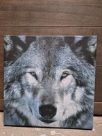Wolf op canvas, Gebruikt, Ophalen
