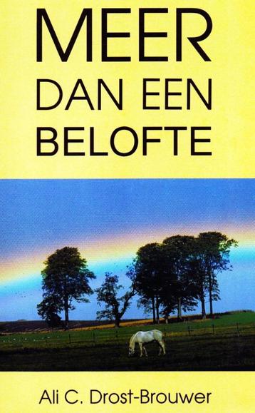 Meer dan een Belofte - Ali C. Drost Brouwer / 9789060470343 beschikbaar voor biedingen