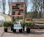 Insectenhotel, Dieren en Toebehoren, Bijen