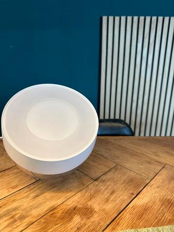 Philips Hue lamp amper gebruikt beschikbaar voor biedingen