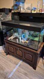 Mooie juwel rio 180 100 cm aquarium met toebehoren, Ophalen, Gebruikt, Leeg aquarium