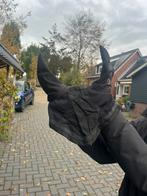 Oornetje te koop, Dieren en Toebehoren, Ophalen of Verzenden, Gebruikt, Overige soorten