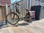 Nette en complete damesfiets., Gebruikt, Versnellingen, 50 tot 53 cm, Ophalen