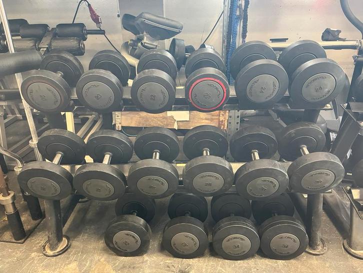 Technogym dumbbells 20-34 kg incl rek gewichten, Sport en Fitness, Fitnessmaterialen, Gebruikt, Dumbbell, Ophalen