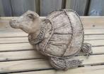 Schildpad kokosnoot, Ophalen of Verzenden, Nieuw, Reptiel of Amfibie