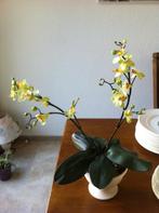 Zijde "Orchidee" Geel in Bloempot op Voet Nieuw, Ophalen of Verzenden, Overige soorten, Halfschaduw, Minder dan 100 cm