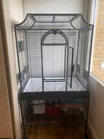 Vogelkooi met starters pakket, Dieren en Toebehoren, Vogels | Hokken en Kooien, Ophalen, Zo goed als nieuw, Metaal, Vogelkooi