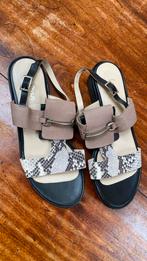 Voltan damessandaal, Ophalen of Verzenden, Zo goed als nieuw, Sandalen of Muiltjes
