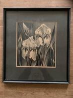 Tekening van bloemen - ingelijst, Ophalen of Verzenden