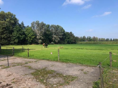 Aangeboden uitloopstal Enschede/Lonneker, Dieren en Toebehoren, Stalling en Weidegang, Stalling, Weidegang