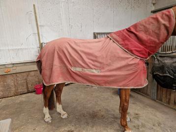 Bucas select Turnout regendeken incl. Hals (maat 205/XL) beschikbaar voor biedingen