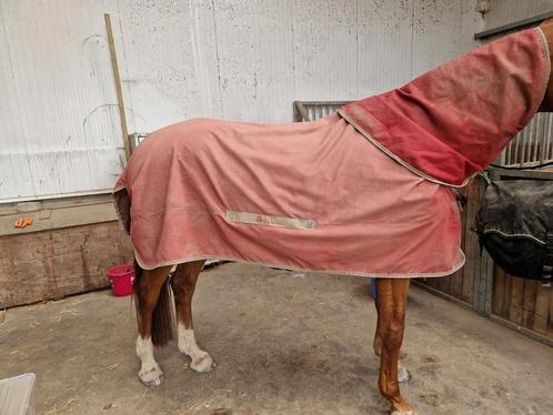 Bucas select Turnout regendeken incl. Hals (maat 205/XL), Dieren en Toebehoren, Paarden en Pony's | Dekens en Dekjes, Gebruikt