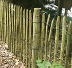Kastanje pallisade Ø 10,0-12,0 x 300 cm, gepunt, geschild, Tuin en Terras, Ophalen, 1 tot 2 meter, Minder dan 3 meter, Nieuw
