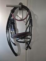 Harry's Horse hoofdstel lollipop mini shet, Ophalen of Verzenden, Nieuw, Dressuur