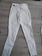Witte wedstrijd broek, Kleding | Dames, Ophalen of Verzenden, Zo goed als nieuw, Maat 36 (S), Wit
