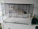 Hamsterkooi, Kooi, Zo goed als nieuw, Hamster, 75 tot 110 cm