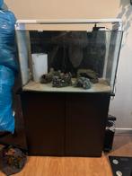 Superfish home 110 met ornamenten, Ophalen, Zo goed als nieuw, Leeg aquarium